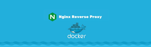 How to use Nginx as reverse proxy with Docker
